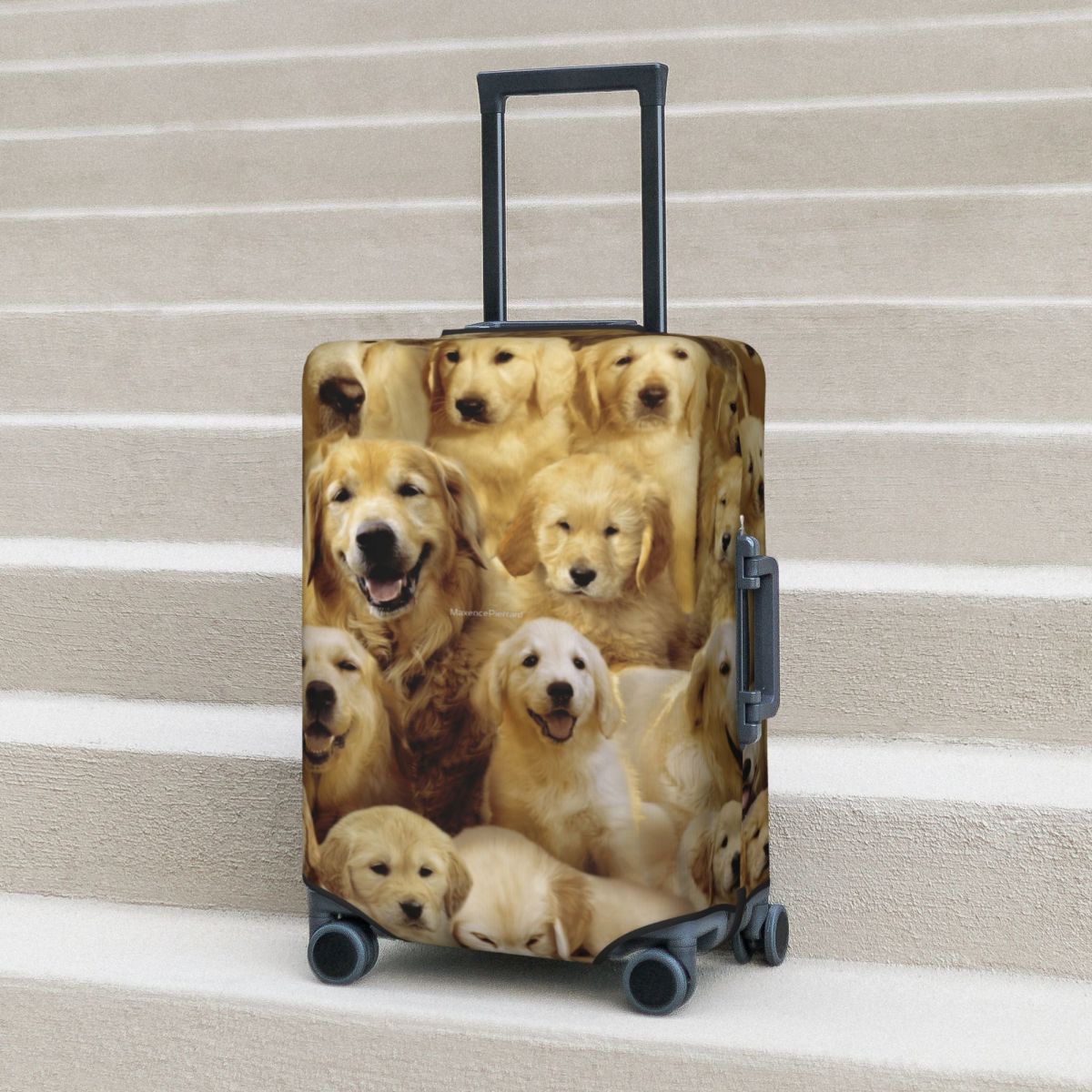 Penutup Koper Anjing Emas Hewa - Travel Accessories To 3D Print ulasan dan harga