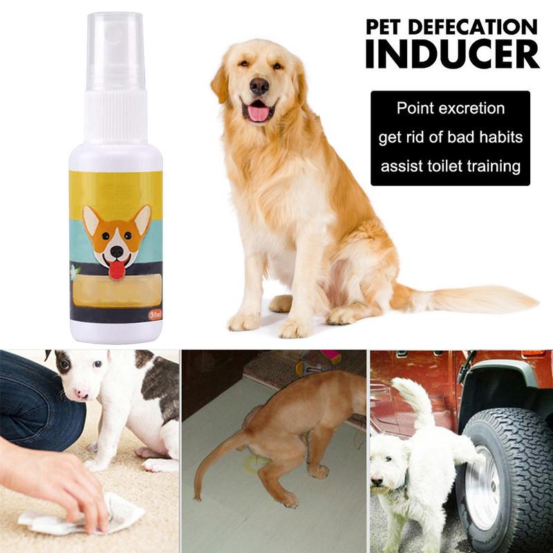 1 buah semprotan Toilet anjing - Travel Accessories In Train ulasan dan harga